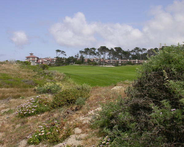 DSCN3240