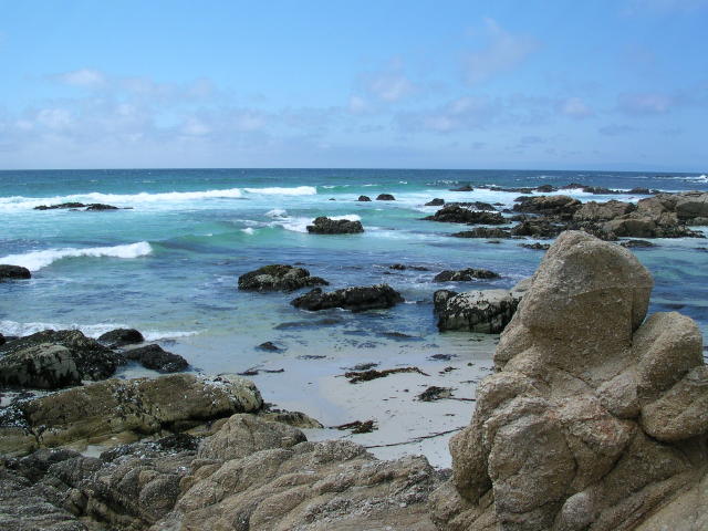 DSCN0214