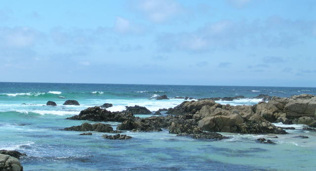 DSCN0215