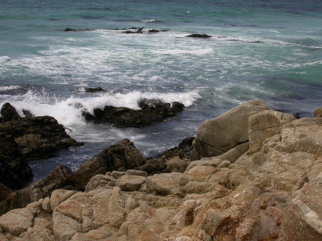 DSCN3252