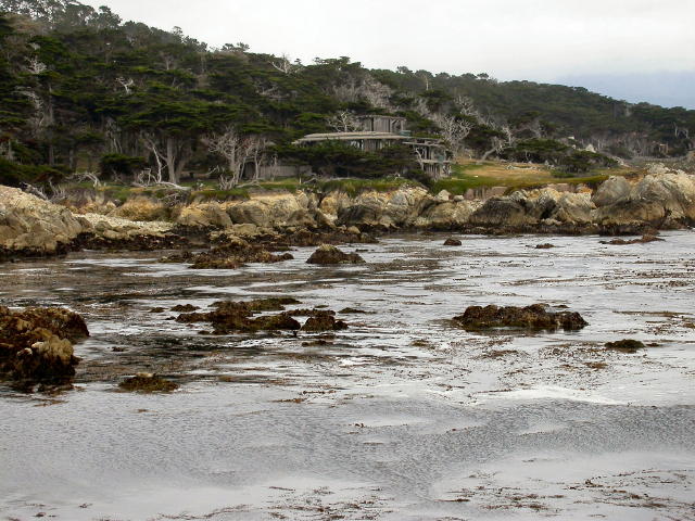 DSCN3268
