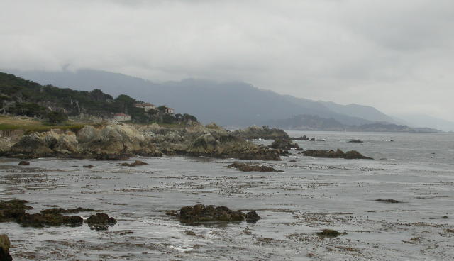DSCN3269