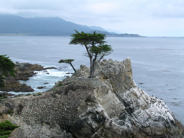 DSCN0229