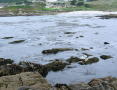 DSCN0220