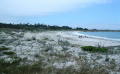DSCN0207