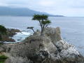 DSCN0229