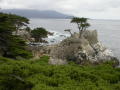 DSCN3274