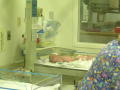The nursery